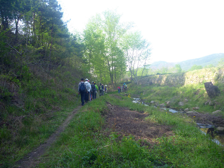 p1240454.jpg