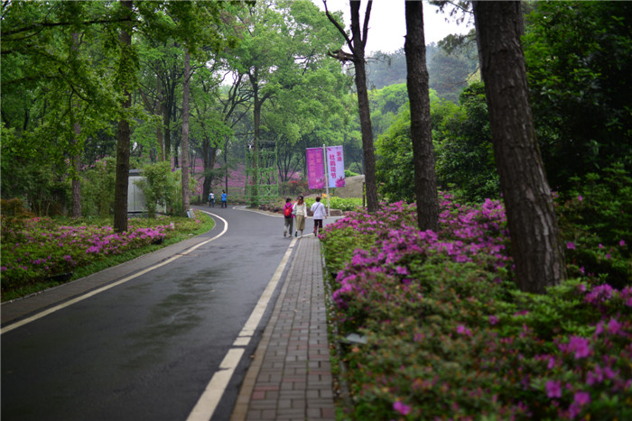 dsc_2906_.jpg