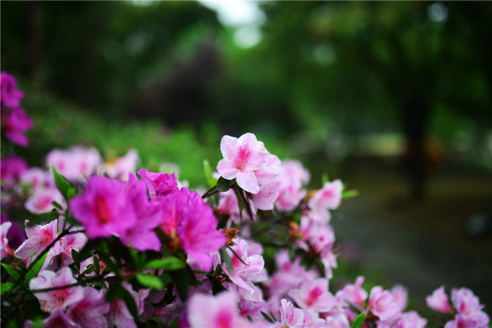 dsc_2959_.jpg