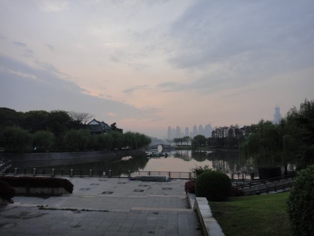 dsc05906.jpg