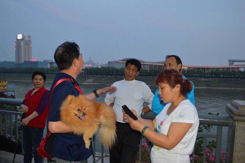 qqͼƬ20150428002712.jpg