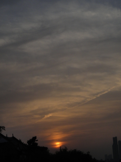 dsc06101.jpg