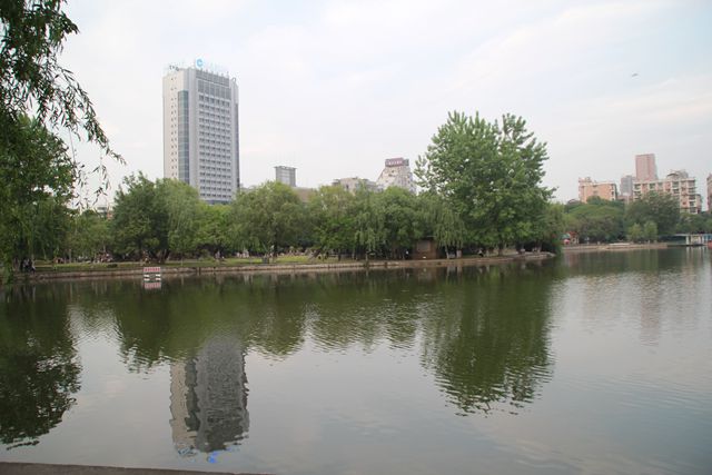 20.jpg