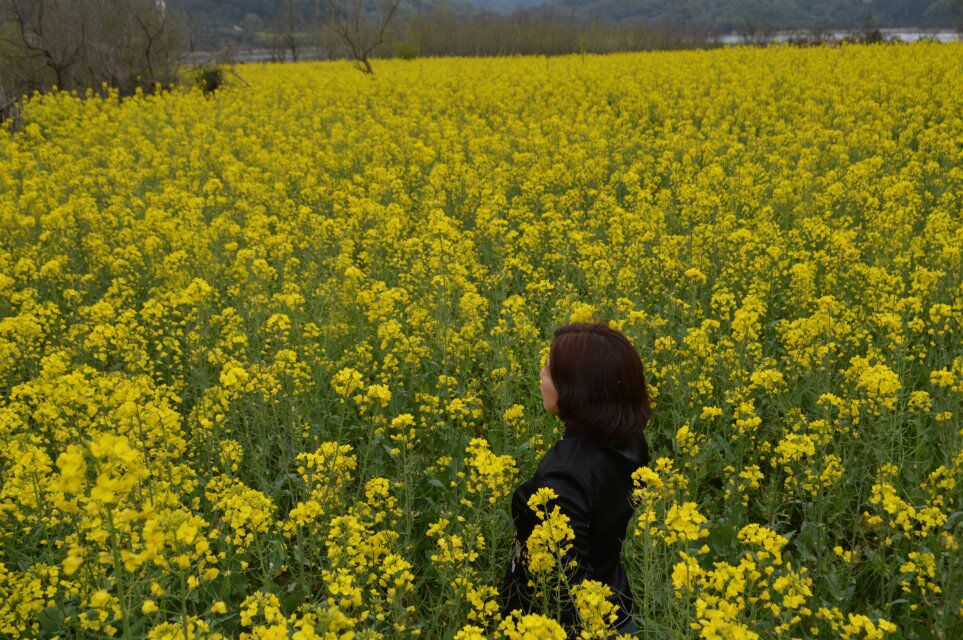 qqͼƬ20150408234117.jpg