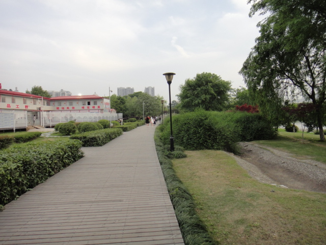 dsc06128.jpg