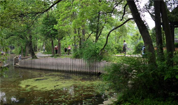 dsc_4559_.jpg