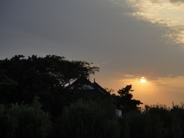dsc06215.jpg
