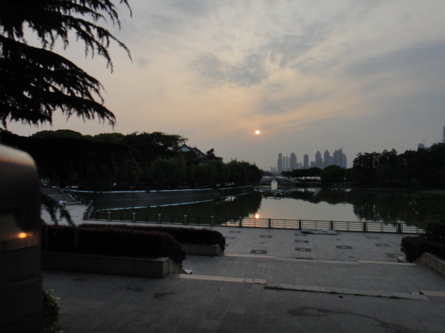 dsc06308.jpg