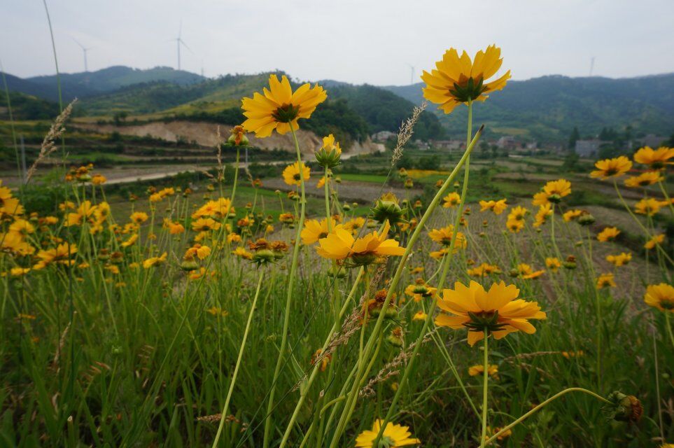 qqͼƬ20150528194653.jpg