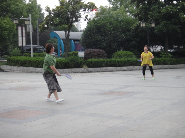 dsc06380.jpg
