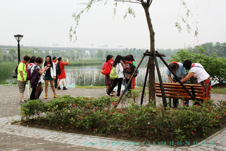 canon eos 450d104.jpg
