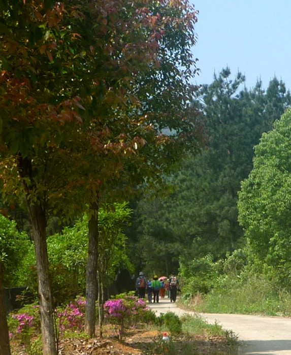 p1240467_.jpg