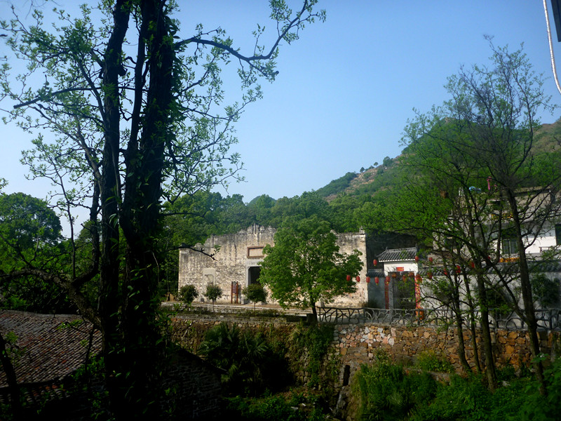 p1240525_.jpg