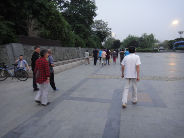 dsc06166.jpg
