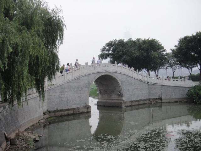 dsc06590.jpg
