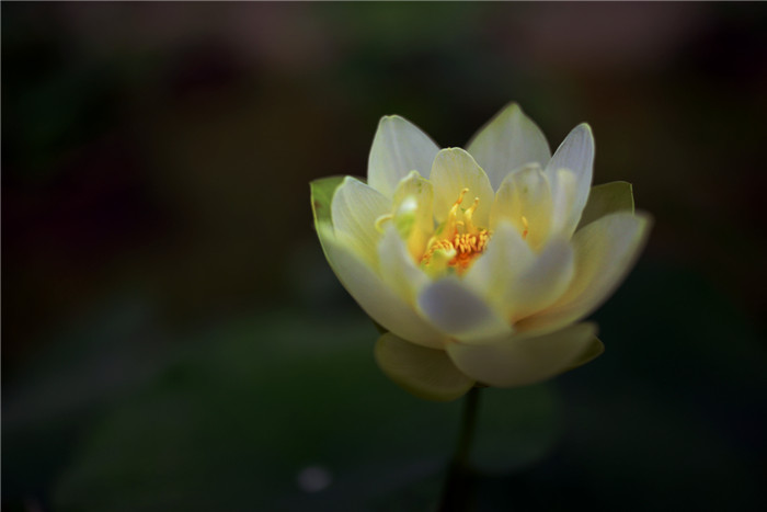 dsc_4945_.jpg
