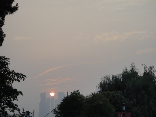dsc06620.jpg