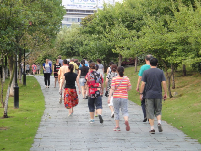 dsc06695.jpg