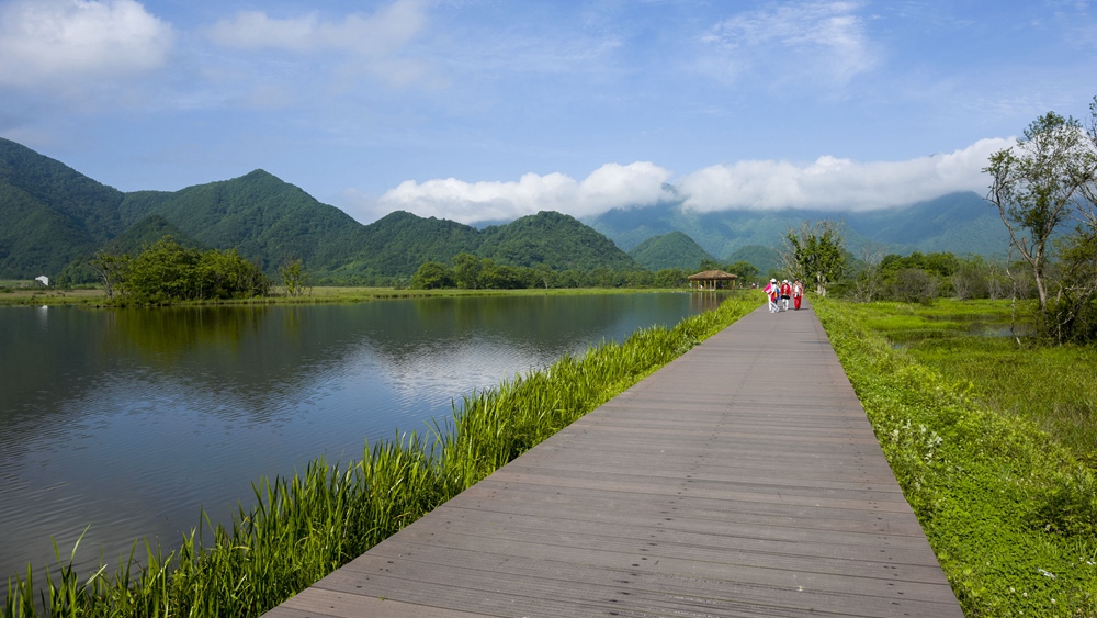 大九湖59.jpg