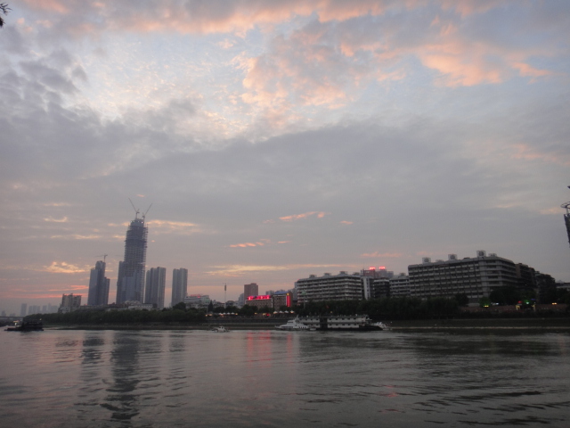 dsc06498.jpg