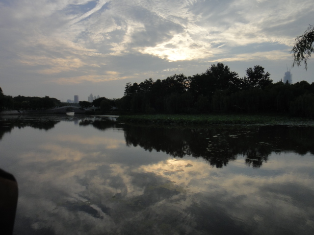dsc06457.jpg