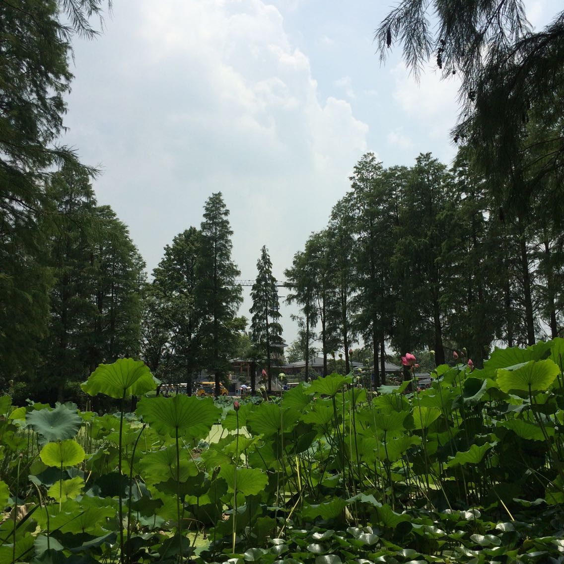 qqͼƬ20150713103142.jpg