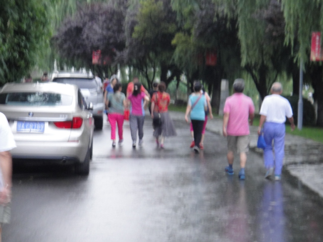 dsc06722.jpg