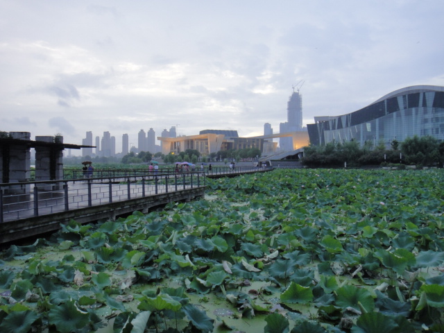 dsc06725.jpg