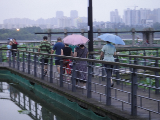 dsc06946.jpg