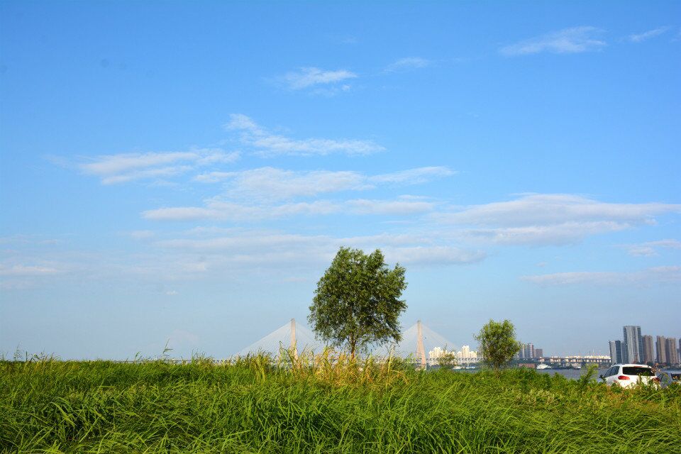 qqͼƬ20150718002927.jpg