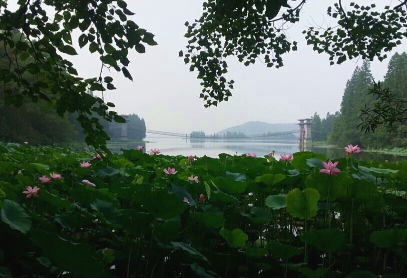 qqͼƬ20150719180535.jpg
