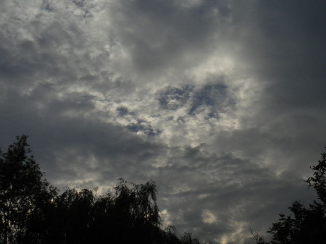 dsc06737.jpg