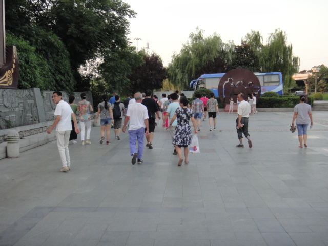 dsc07017.jpg