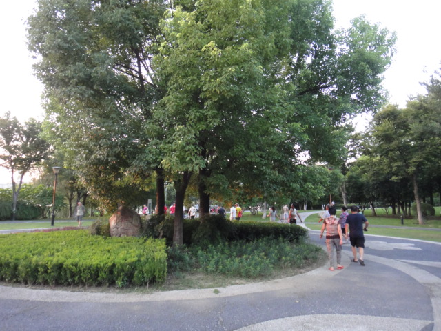 dsc07021.jpg