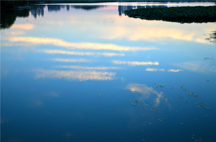 dsc_6742_.jpg