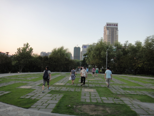 dsc07022.jpg