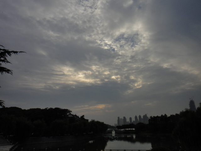 dsc06738.jpg