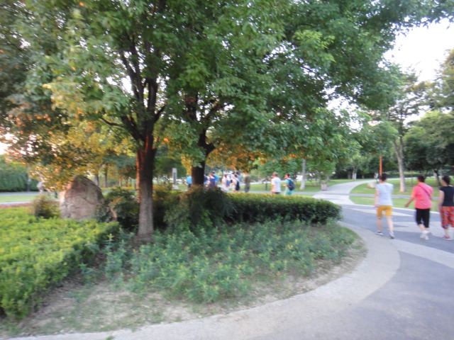 dsc07058.jpg