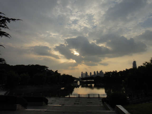 dsc06776.jpg