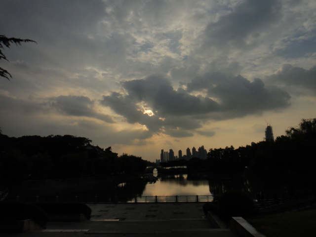 dsc06777.jpg