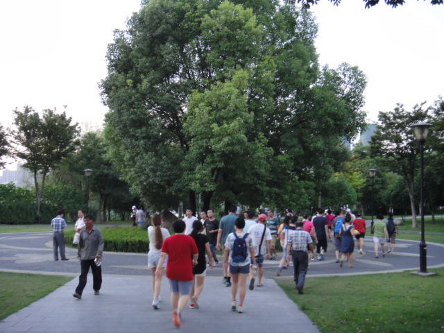 dsc07175.jpg
