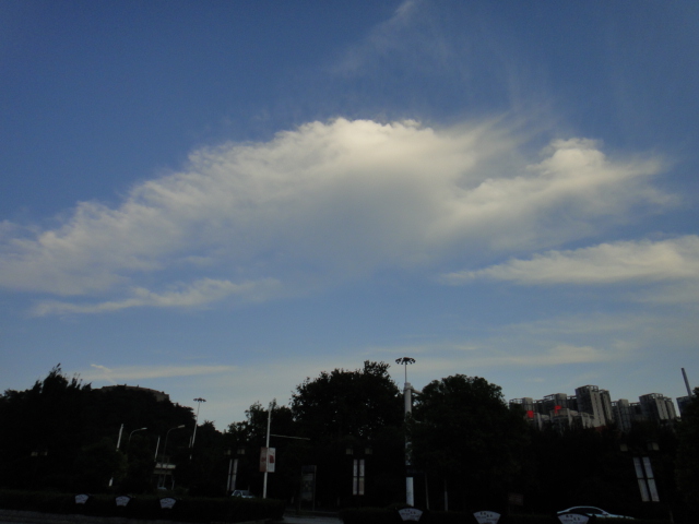 dsc07151.jpg