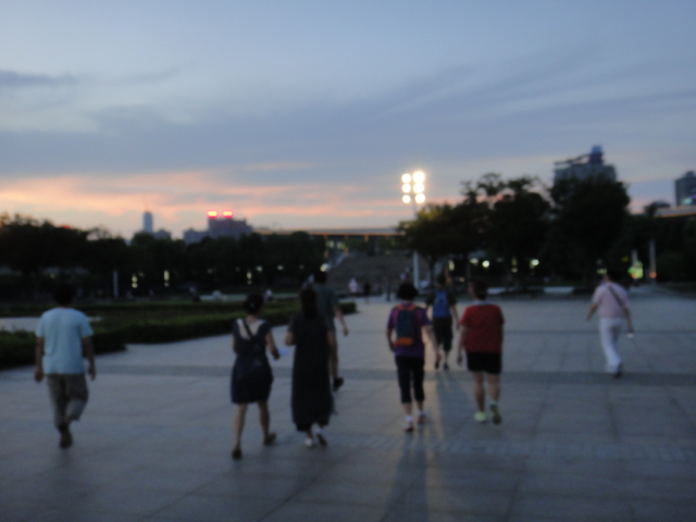 dsc07178.jpg
