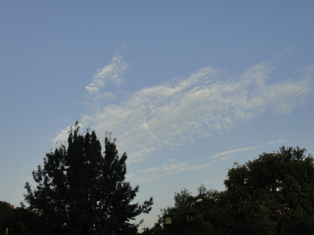 dsc07183.jpg