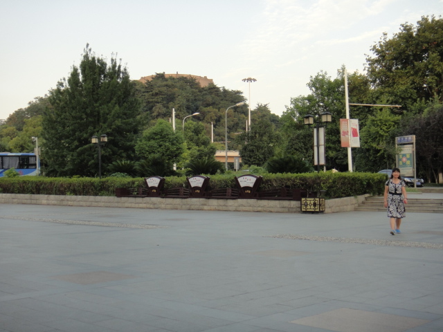 dsc07185.jpg