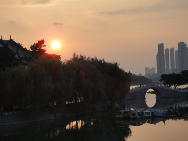 dsc07264.jpg
