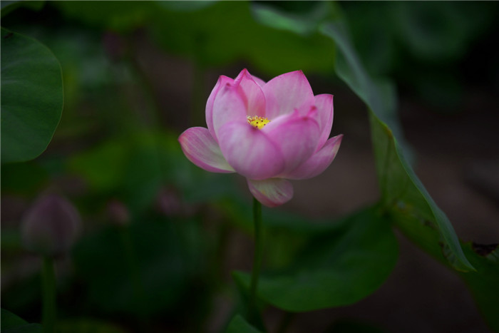 dsc_6376_.jpg