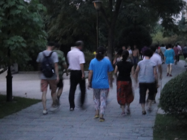 dsc07363.jpg