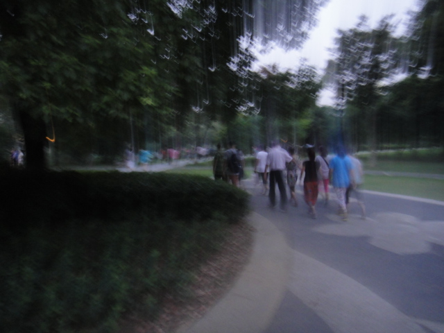 dsc07361.jpg
