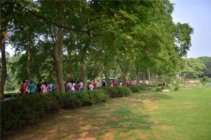 dsc_7188_.jpg